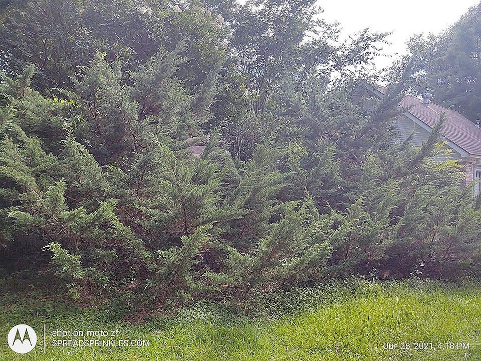 2nd image of 1380 Cooperville Rd