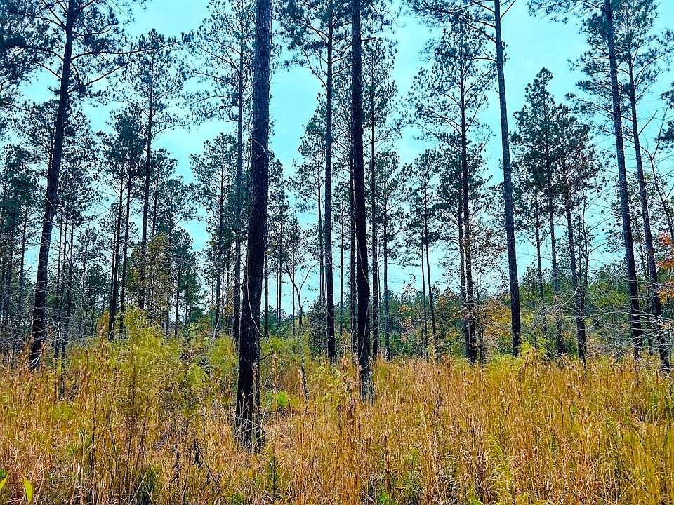 1st image of 592 Andrew Caldwell Rd Tract 2A