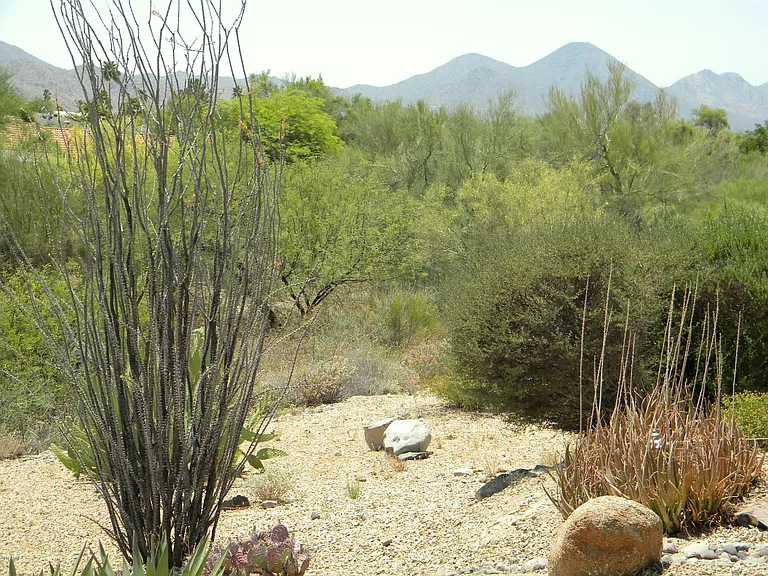 14402 N Ibsen Dr #B — Photo 33