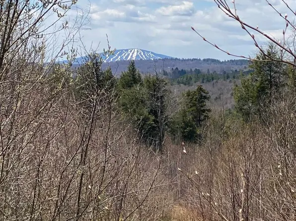 000 Route 100 #42, Weston, VT 05161