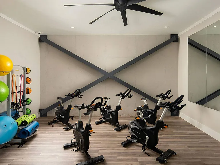 Fitness Studio with Cardio Equipment