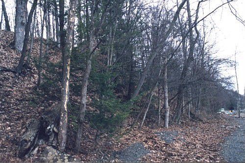 Additional land view