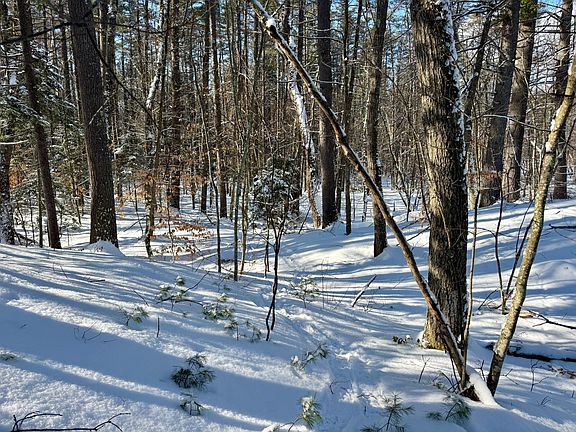 5th image of TBD Swans Falls Road Lot A
