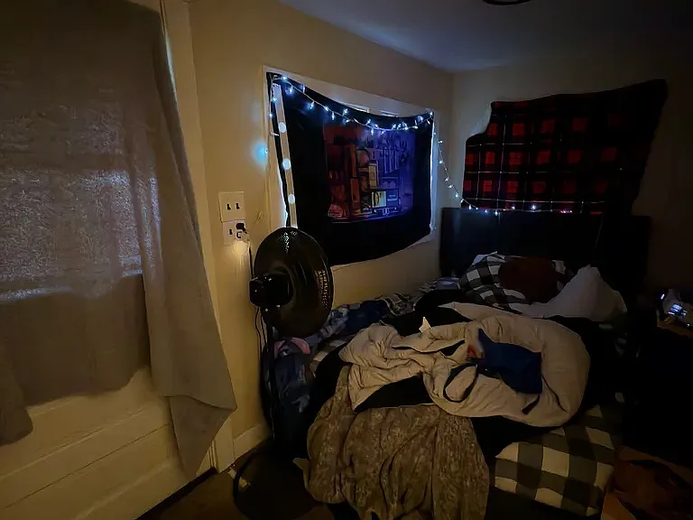 Den