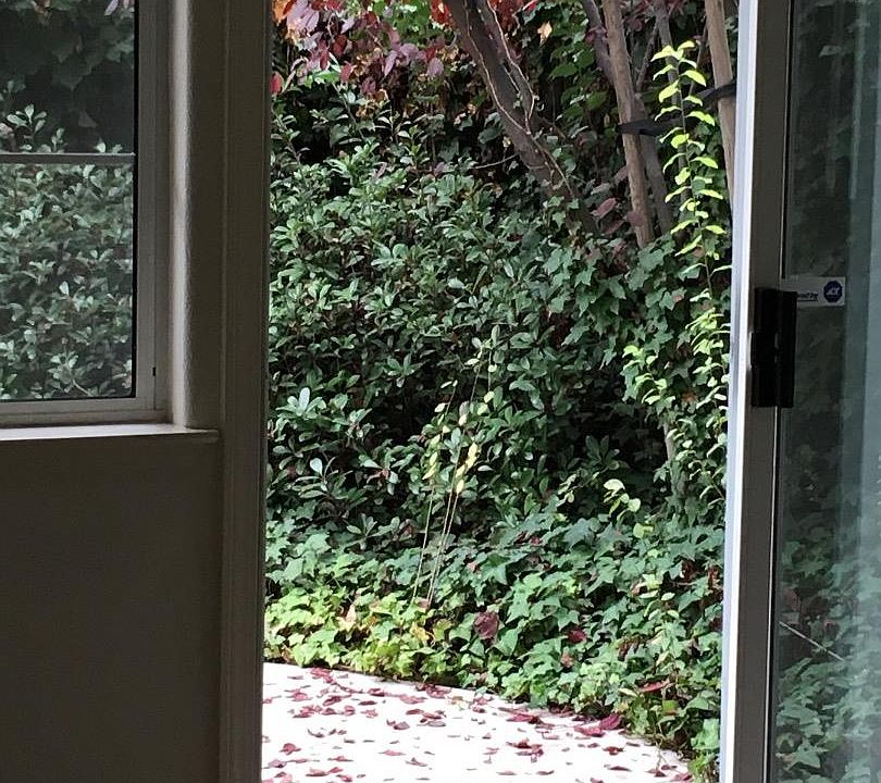 2nd image of 4259 Macedo Pl