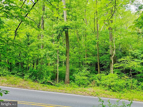 3rd image of 18900 Mink Hollow Rd