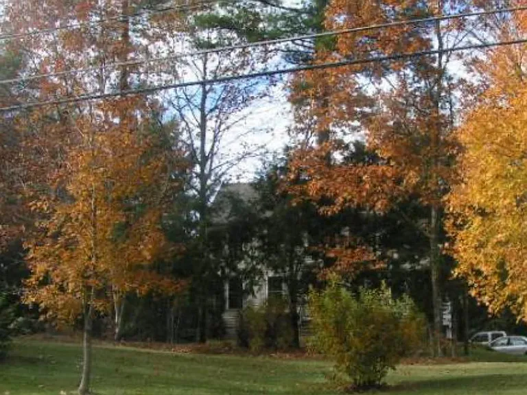 Diamond Dr — Photo 13