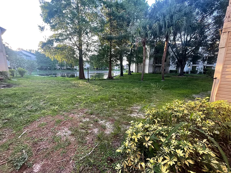 lake view