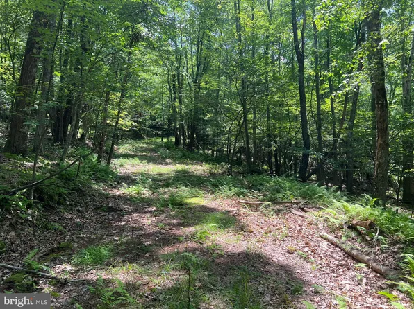 53 Tall Oaks Dr, Oakland, MD 21550