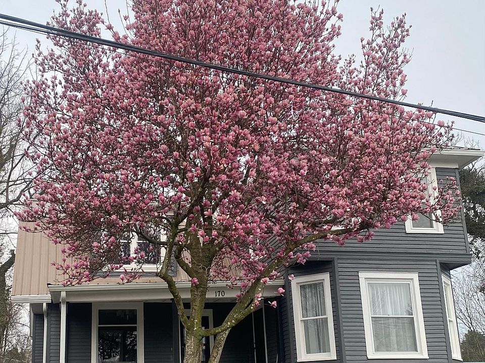 1st image of 170 S Grandview Ave