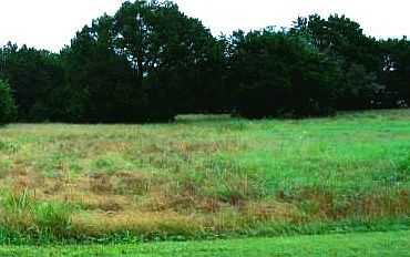 1st image of 35005 Shadywood Ln