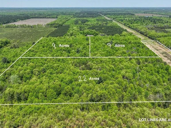 22 Acres PRYNE ROAD #Proposed Parcel A, Wisconsin Rapids, WI 54495