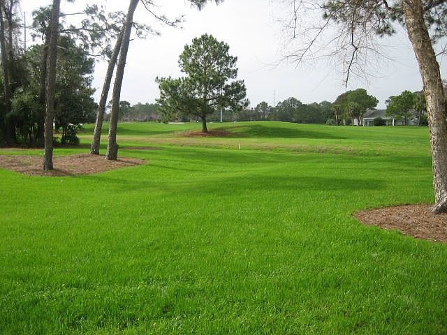 View to Golf Course