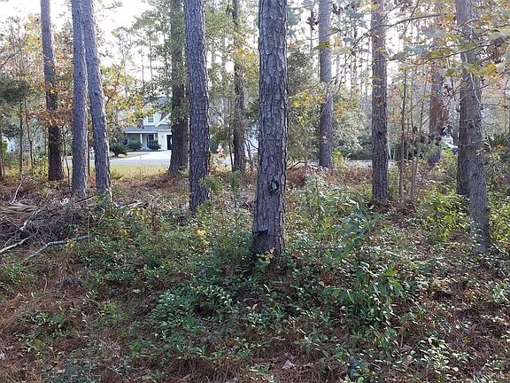 Brush hogged & easy to visit