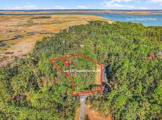 LOT 137 Sapelo Cir NE, Townsend, GA 31331