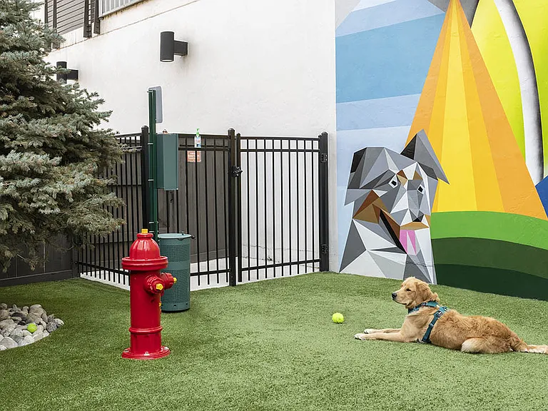 Apartment community off-leash dog park at Griffis Cherry Creek in Denver, Colorado.