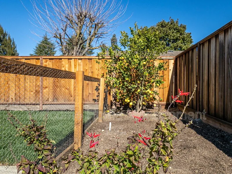 4 bed, 2.0 bath, 1368 sqft, $4,195 — Photo 3