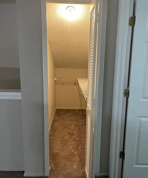245 Alston Dr — Photo 13