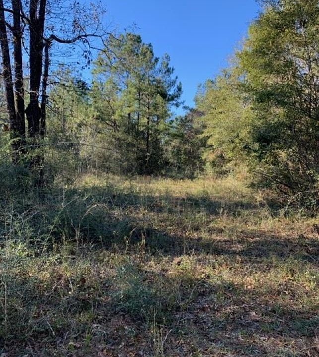 0 Whitehouse Fork Rd, Bay AL 36507 Zillow