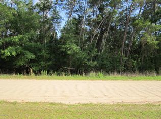 137 Lake Susan Rd, Hawthorne, FL 32640