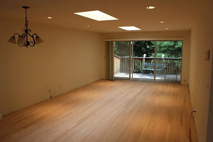 Skylights!