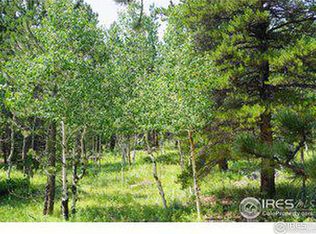 246 Tahosa Park South Rd, Allenspark, CO 80510