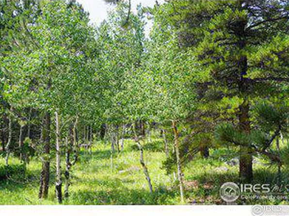 246 Tahosa Park South Rd, Allenspark, CO 80510