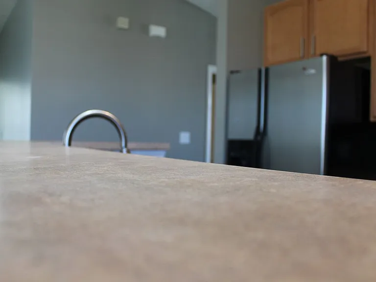 8583 Frosty Rose Dr — Photo 7