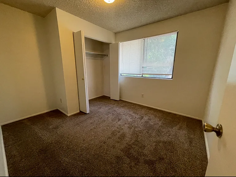 Sunrise Apartments — Photo 8
