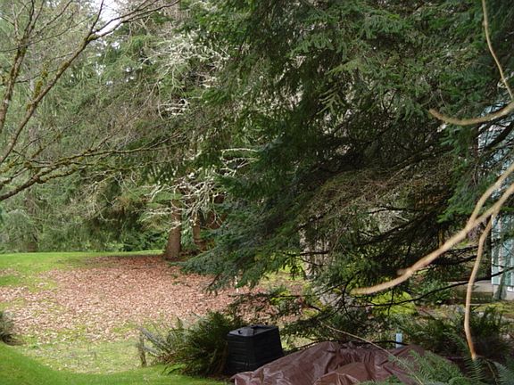 2nd image of 24 Fairway Ln