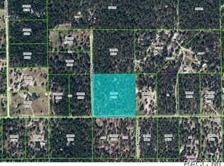 6823 W Copenhagen St, Dunnellon, FL 34433