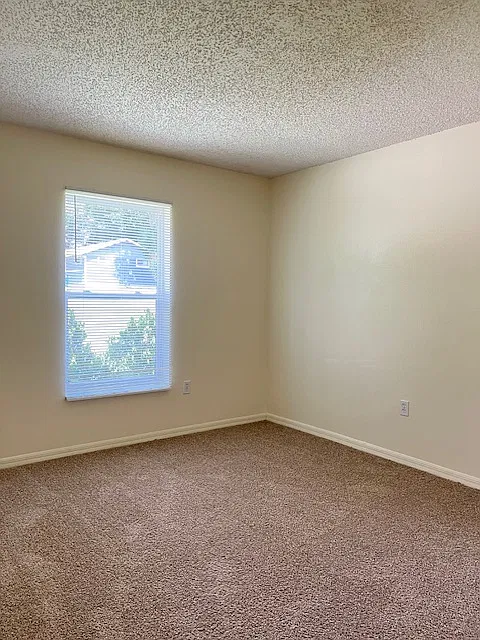 2/2 half duplex DeLand, $1,450/month! — Photo 4