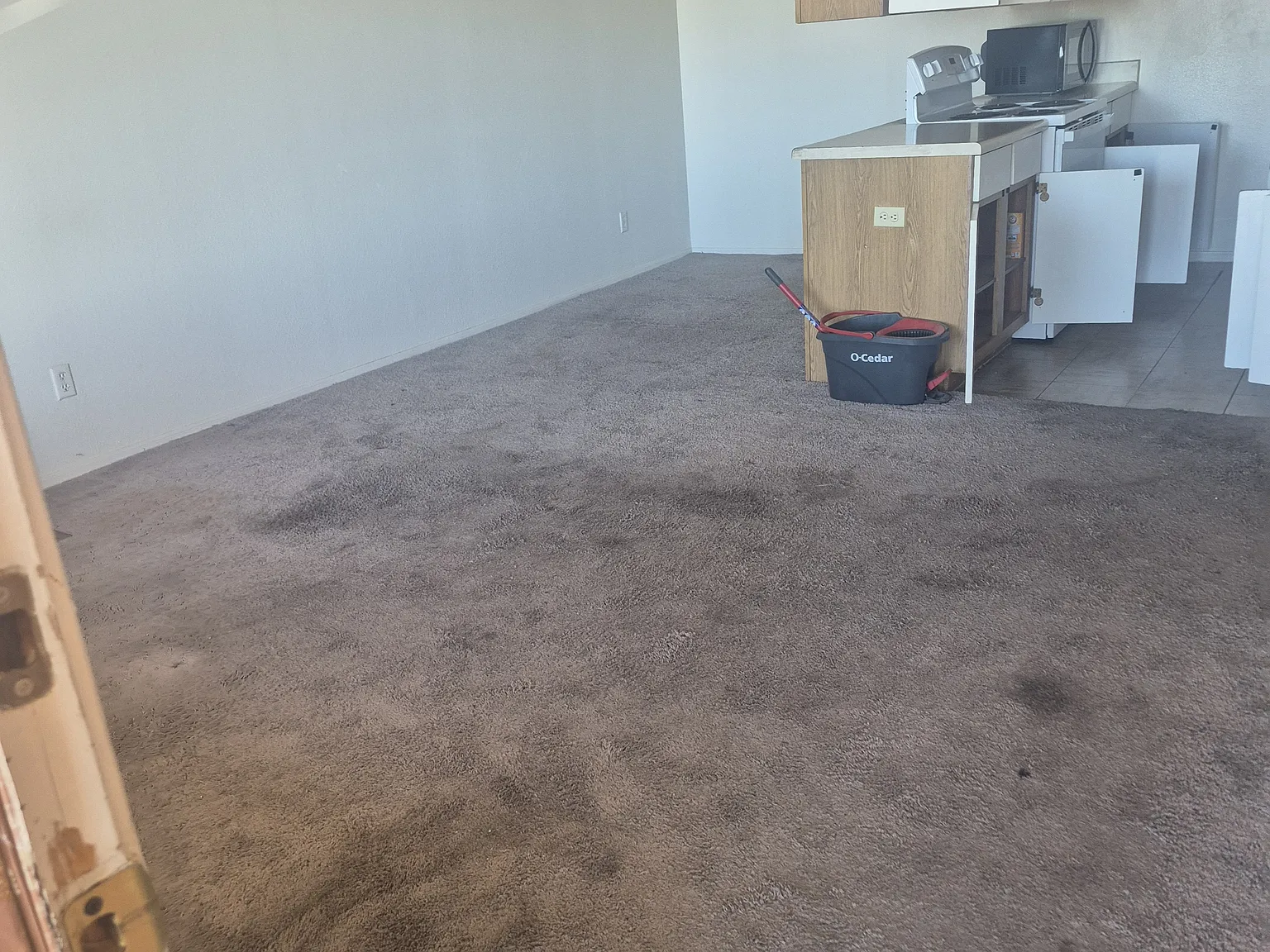 1440 N Idaho Rd #2047 Apache Junction AZ 85119 — Photo 3