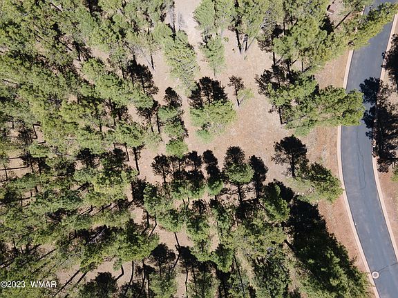 3rd image of 9586 Sierra Springs Way