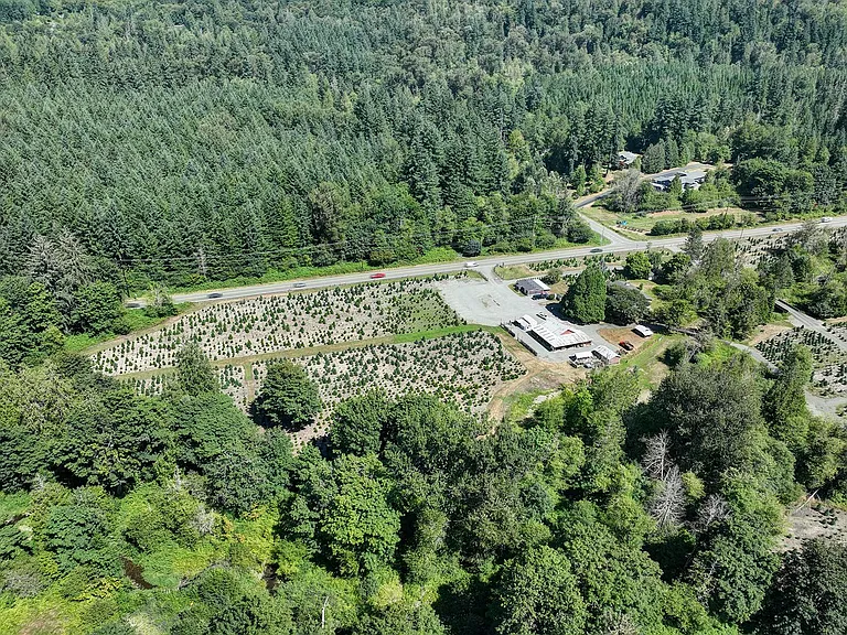 18021 Issaquah Hobart Rd SE — Photo 11