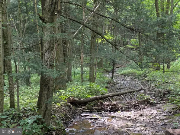 0 Berkey Hollow Rd, Alum Bank, PA 15521