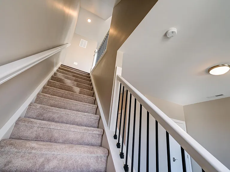 4460 Tuller Ridge Dr — Photo 13