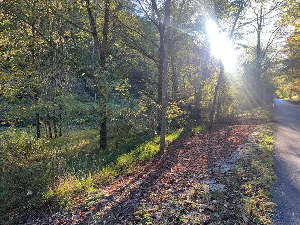 0 Hinkle Paynes Crk #215/253, Hinkle, KY 40953