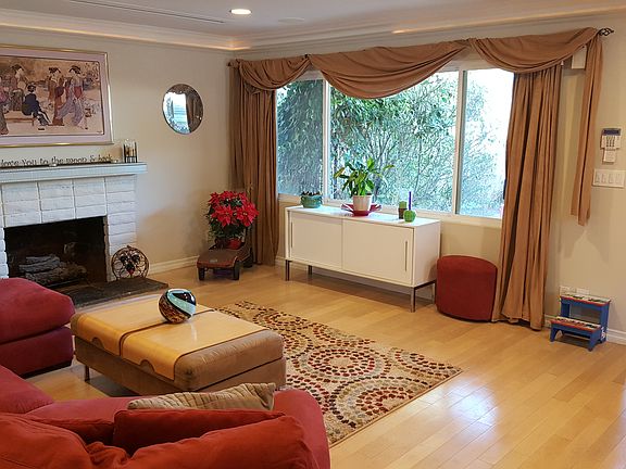 Christmas tree window