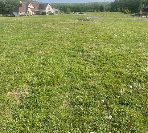 5th image of 7748 Webster Rd