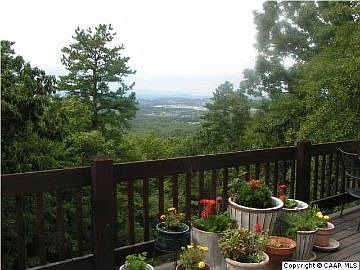 3rd image of 221 Arrowroot Dr
