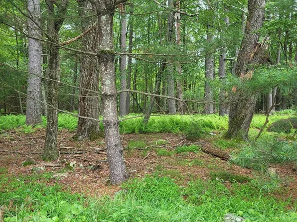 97 S Nichecronk Rd, Dingmans Ferry, PA 18328