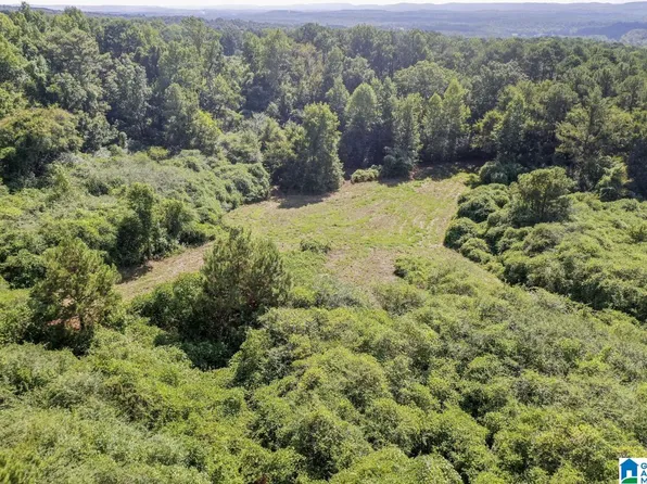 0 Peach Cir Parcel 4, Hayden, AL 35079