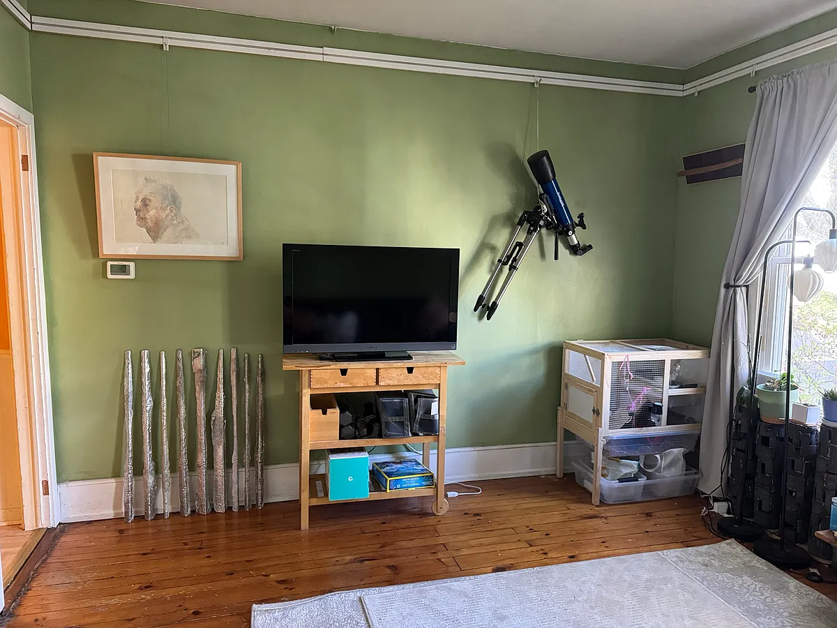Building Photo - 175 Nicoll St #1