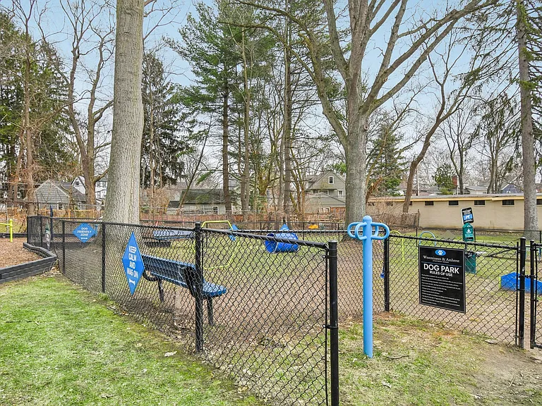 Dog Park