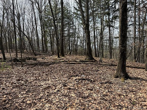 5th image of 383 Connors Road