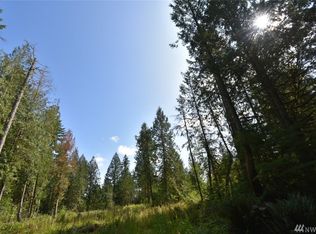 157 Rockridge Ln, Toledo, WA 98591