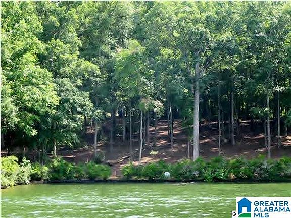 2nd image of LOT 6 Wedowee Creek View Dr #6