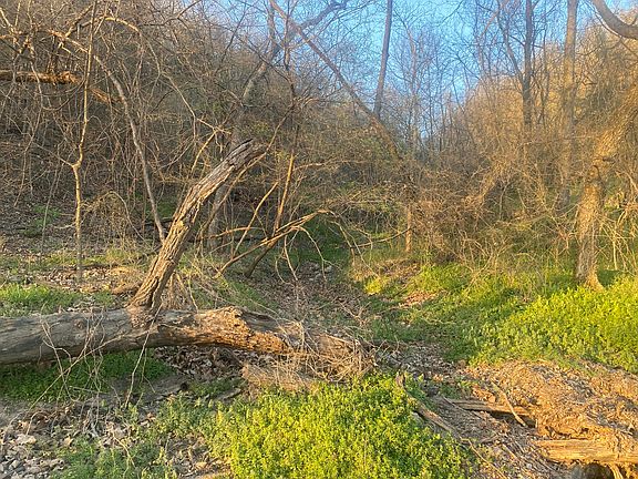 2nd image of County Road 628
