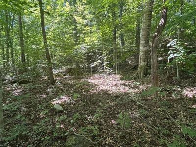 48-50 Jasper Spring Dr, Burnside, KY, 42519